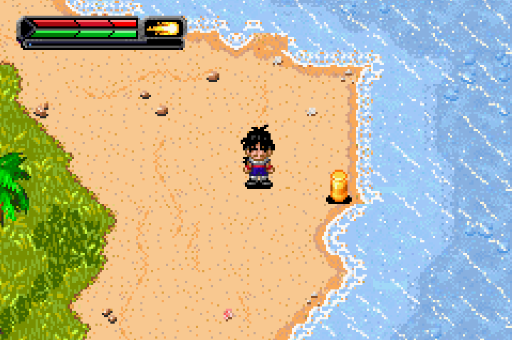 Master Roshis Island